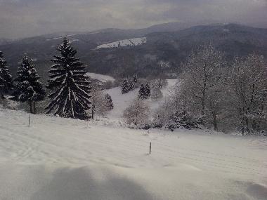 Holiday House in freconrupt (Bas-Rhin) or holiday homes and vacation rentals