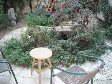 BACK GARDEN