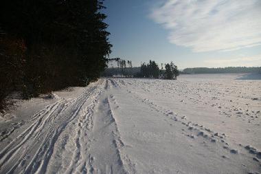 Holiday House in Helmbrechts (Upper Franconia) or holiday homes and vacation rentals