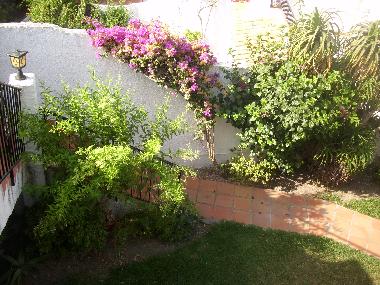 Holiday Apartment in Nerja (Spain) or holiday homes and vacation rentals