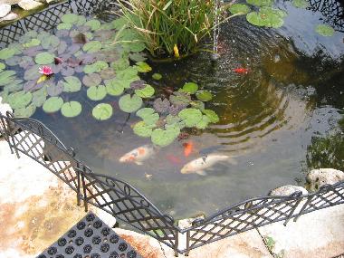 Holiday Apartment in Banjole Pula (Istarska) or holiday homes and vacation rentals