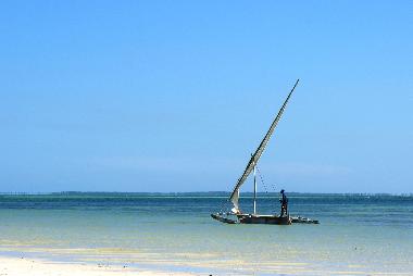Holiday House in diani beach (Coast) or holiday homes and vacation rentals