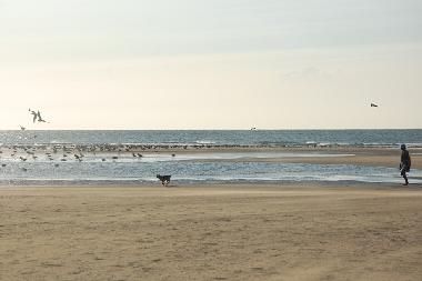 Holiday Apartment in AYAMONTE (Huelva) or holiday homes and vacation rentals