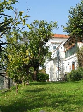 Villa in Massalubrense (Napoli) or holiday homes and vacation rentals