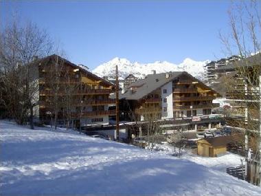Holiday Apartment in nendaz (Nendaz) or holiday homes and vacation rentals