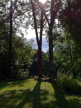 the garden view of the lake
