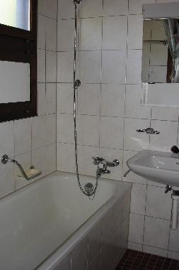 Chalet in Fiesch (Aletsch) or holiday homes and vacation rentals