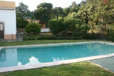 Villa in S�o Bras de Alportel (Algarve) or holiday homes and vacation rentals