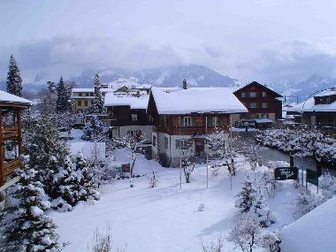 winter: view from bedroom window