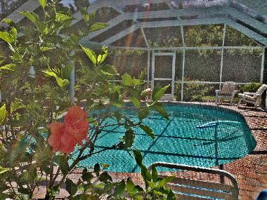 Holiday House in Cape Coral (Florida) or holiday homes and vacation rentals