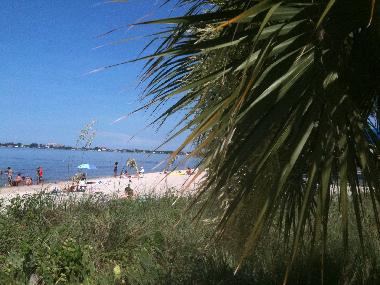 Holiday House in Cape Coral (Florida) or holiday homes and vacation rentals