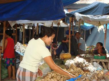 Holiday House in Alcoy (Cebu) or holiday homes and vacation rentals