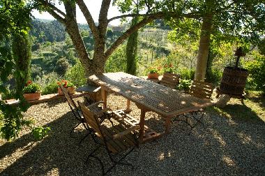 Table under the tree