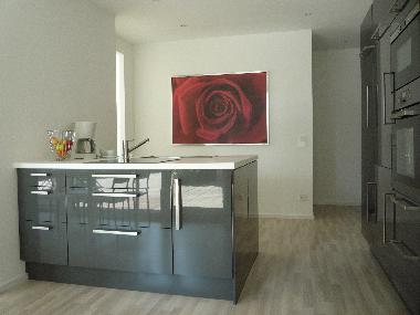 Holiday Apartment in Langenau (Schwbische Alb) or holiday homes and vacation rentals