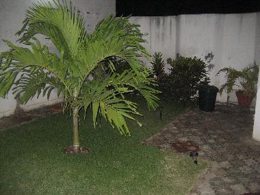 Holiday House in Lom� (Lome) or holiday homes and vacation rentals