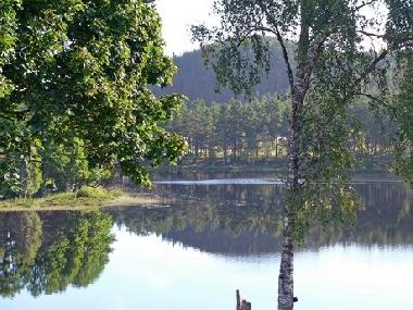 View from the garden