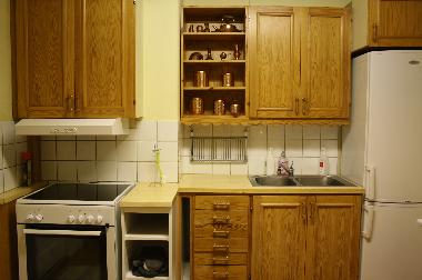 Kitchen in the flat