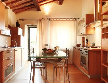 Holiday Apartment in MONTALCINO (Siena) or holiday homes and vacation rentals