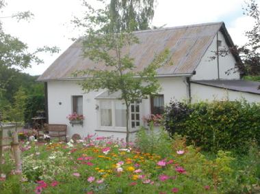 Holiday Apartment in Amel (Wallonia) or holiday homes and vacation rentals