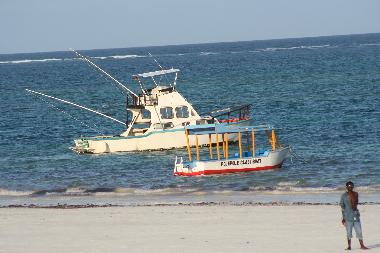 Villa Palmpark, deep sea Fishing available