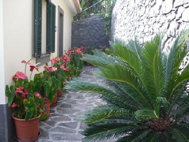 Holiday House in Calheta (Madeira) or holiday homes and vacation rentals