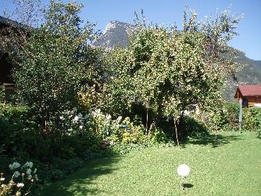 Holiday Apartment in LOFER/St.MARTIN (Pinzgau-Pongau) or holiday homes and vacation rentals