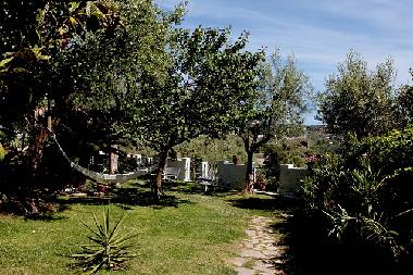 Villa in Acquara (Napoli) or holiday homes and vacation rentals