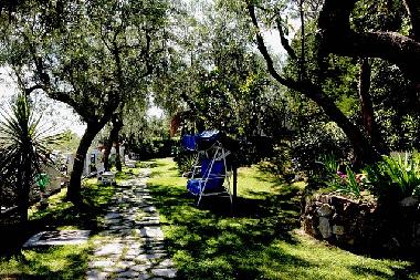 Villa in Acquara (Napoli) or holiday homes and vacation rentals