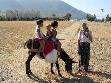 Holiday House in Mersin (= Icel) / Adana / Silifke / Yesilovacik (Icel) or holiday homes and vacation rentals