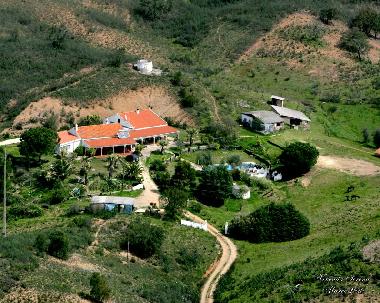 The houses and stables