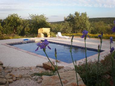 Villa in Moncarapacho (Algarve) or holiday homes and vacation rentals