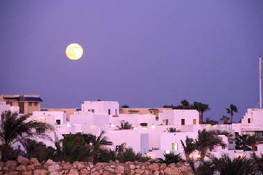 Holiday Apartment in Sharm El Sheikh (Shamal Sina