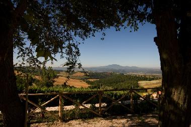 Holiday Apartment in Lugnano in Teverina (Terni) or holiday homes and vacation rentals