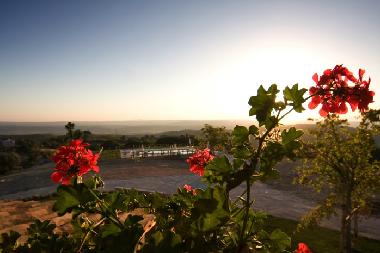 Holiday Apartment in Lugnano in Teverina (Terni) or holiday homes and vacation rentals