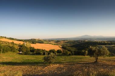 Holiday Apartment in Lugnano in Teverina (Terni) or holiday homes and vacation rentals