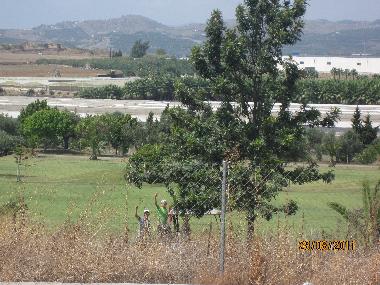 Holiday Apartment in Caleta de Velez (M�laga) or holiday homes and vacation rentals