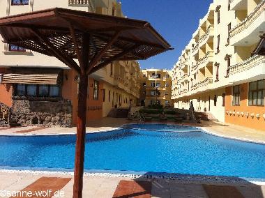Holiday Apartment in Hurghada (Al Bahr al Ahmar) or holiday homes and vacation rentals