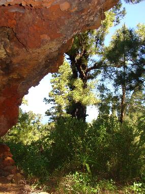 Holiday House in Las Tricias (La Palma und El Hierro) or holiday homes and vacation rentals
