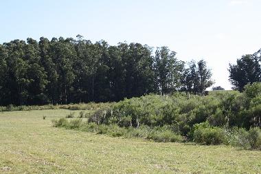 Chalet in Piedras de Afilar (Canelones) or holiday homes and vacation rentals