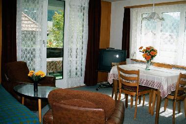 Holiday Apartment in Andermatt (Andermatt) or holiday homes and vacation rentals