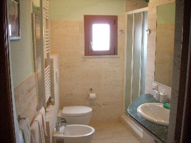 Master bath with large shower