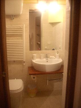 Living room with bathroom and shower