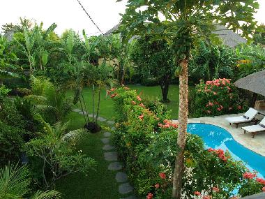 Villa in Dencarik (Bali) or holiday homes and vacation rentals