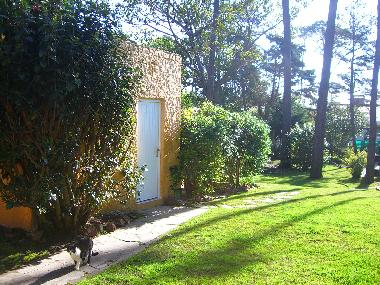 Holiday House in Punta del Este (Maldonado) or holiday homes and vacation rentals