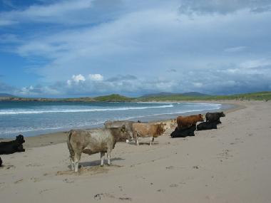 Holiday House in ANNAGRY (Donegal) or holiday homes and vacation rentals