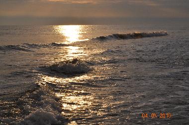 Holiday House in Wangerooge (East Frisians (Islands)) or holiday homes and vacation rentals