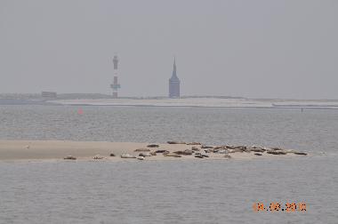 Holiday House in Wangerooge (East Frisians (Islands)) or holiday homes and vacation rentals