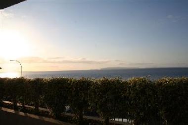 Holiday Apartment in Canio (Madeira) or holiday homes and vacation rentals