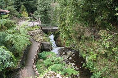 Holiday Apartment in Canio (Madeira) or holiday homes and vacation rentals
