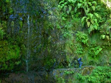Holiday Apartment in Canio (Madeira) or holiday homes and vacation rentals